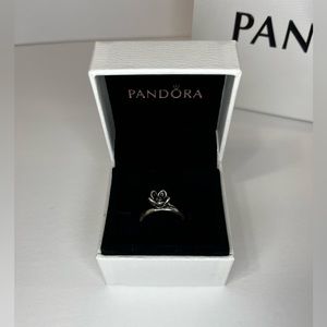🆕Pandora Silver Ring Size 6